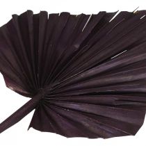 tételeket Palmspear Mix Pink Berry, White Washed Memorial Floristry 65 db