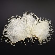 tételeket Pálmalevelek szárított, fehérített díszlevelek 45cm 5 db