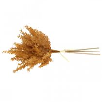 tételeket Műpampa fű Narancssárga száraz fű 35cm 4db