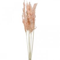 Szárított pampa fű rózsaszín szárított virágok natúr dekoráció 65-75cm 6db