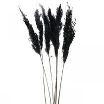 Pampa fű fekete 65-75cm száraz fű natúr dekoráció 6db