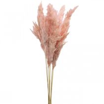Pampa fű szárított rózsaszín száraz virágkötő 65-75cm 6db csokorban