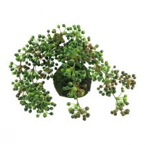 Gyöngysor mesterséges mohalabda műnövények zöld 38cm