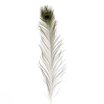 tételeket Pávatollas dekoráció igazi madártoll hosszú 70cm 16db