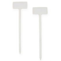 tételeket Növénytáblák Növénytábla cseréhez 50cm 10db