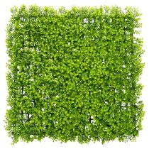 tételeket Műbükkfa növényszőnyeg 55x55 cm dekoratív faldekorációhoz