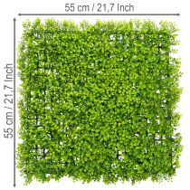 tételeket Műbükkfa növényszőnyeg 55x55 cm dekoratív faldekorációhoz