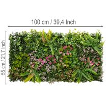 tételeket Műnövényfal 100 x 55 cm függőleges zöldfelülettel