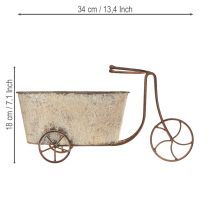 tételeket Ültető kerékpár virágcserép kerékpár rozsda szürke 34×16×18cm