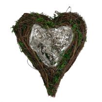 tételeket Planter Heart Szőlőmoha 21cm x 26cm H6cm