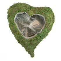 Növényi szív Moha zöld Növényi tál szív 26×30×8 cm