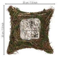tételeket Növénypárna kúszónövény moha virágtál natúr 20×20×6,5 cm