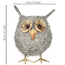 tételeket Növénykosár bagoly szőlő fehér mosott Ø14cm