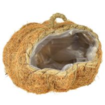 tételeket Növénykosár tök őszi dekoráció narancssárga Ø22cm M17cm