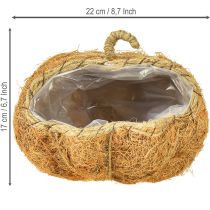 tételeket Növénykosár tök őszi dekoráció narancssárga Ø22cm M17cm