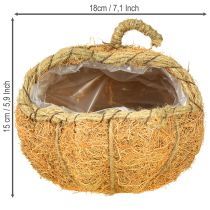 tételeket Növénykosár tök fóliás őszi dekorációval narancssárga Ø18cm M15cm