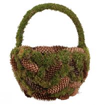 tételeket Rusztikus ültetőkosár mohával és fenyőtobozokkal - dekoratív kosár füllel Ø32cm M42cm - sokoldalú kerti és lakberendezési tárgy