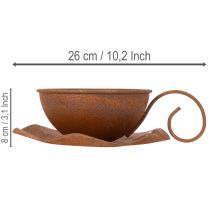 tételeket Ültetőkehely tányérral, kaspó, rozsdabarna felülettel, Ø19.5cm, M8cm