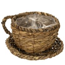 tételeket Ültetőkehely tányérral, kis szalma ültetőkosár, Ø17cm M13cm