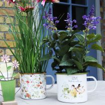 tételeket Zománc ültetőkehely, ültetéshez való kehely mondással, Ø11cm