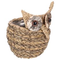 tételeket Kézzel szőtt bagolykosár dekoráció ablakpárkányra, 18cm