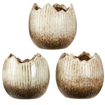 tételeket Cserepes kerámia tojás törött krém barna Ø9,5cm 3 db
