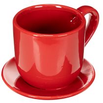tételeket Nagy díszes csésze tányérral, alkalmas virágcserépnek, 17 cm