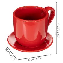 tételeket Nagy díszes csésze tányérral, alkalmas virágcserépnek, 17 cm