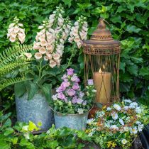 tételeket Nyeles cserep, dekoratív tál rozsdadísz, fémedény ezüst Ø26cm H25,5cm