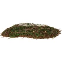 tételeket Plant Wave Vines kis virágtál mohával 31×15×7cm