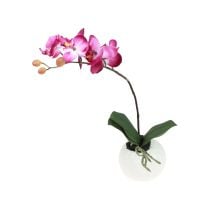 Mesterséges orchideák cserépben Phalaenopsis művirágok orchideák rózsaszín 34cm