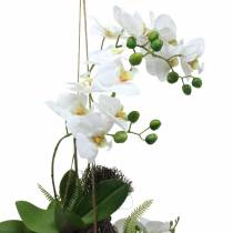 Orchidea páfránnyal és mohagolyóval mesterséges fehér függő 64cm
