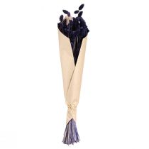 tételeket Phalaris Violet szárított díszfű 50-55cm 100g