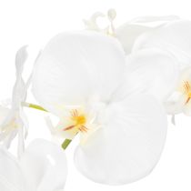tételeket Műorchidea, megtévesztően valósághű, irodai és nappali dekorációhoz, 62 cm
