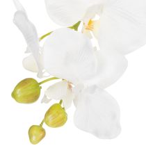 tételeket Műorchidea, megtévesztően valósághű, irodai és nappali dekorációhoz, 62 cm