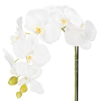 tételeket Műorchidea, megtévesztően valósághű, irodai és nappali dekorációhoz, 62 cm
