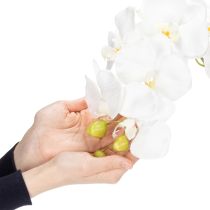 tételeket Műorchidea, megtévesztően valósághű, irodai és nappali dekorációhoz, 62 cm