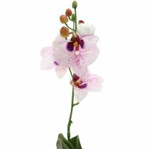 Mesterséges orchidea Phaleanopsis fehér, lila 43cm