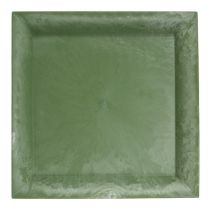 Műanyag tányér zöld négyzet 19,5cm x 19,5cm