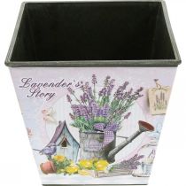 tételeket Levendula motívum, négyzet alakú díszedény, műanyag cachepot H13cm SZ13,5cm