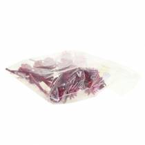 tételeket Plumosum 1 Erika 25 db