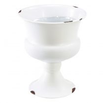 Csésze váza dekoratív csésze fehér rozsda Ø13,5cm H15cm Shabby Chic
