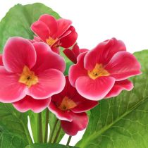tételeket Primroses művirágok Cowslips Pink H25cm
