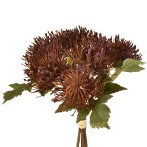 tételeket Protea mű tűpárna Leucospermum lila 30cm 6 db