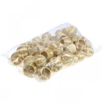 tételeket Sütőtök dekoráció Bell Cup Tökpohár fehérített 50 db