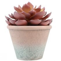 tételeket Zamatos növény cserépben Echeveria mesterséges vörös évjárat Ø15cm H16cm