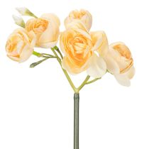 tételeket Boglárka ág díszes vázadíszekhez, 32 cm, 5 darab