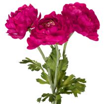tételeket Műboglárka egyetlen virágként időtlen és sokoldalú belsőépítészethez, 51 cm, 3 darab
