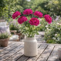 tételeket Műboglárka egyetlen virágként időtlen és sokoldalú belsőépítészethez, 51 cm, 3 darab