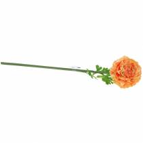 tételeket Ranunculus lazac H45cm